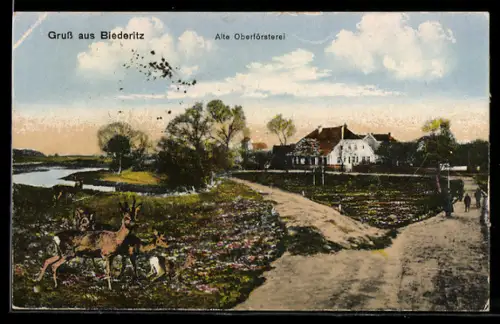AK Biederitz, Alte Oberförsterei