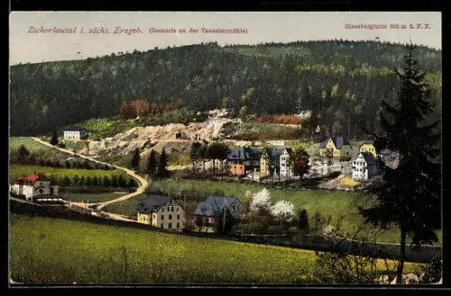 AK Zschorlautal i. sächs. Erzgeb., Szenerie an der Tauscher Mühle
