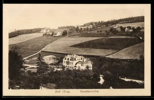 AK Aue i. Erzg., Tauscher Mühle aus der Vogelschau