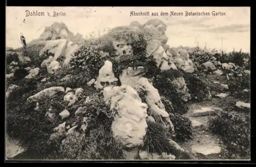 AK Dahlem b. Berlin, Abschnitt aus dem Neuen Botanischen Garten