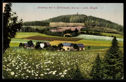 AK Schneeberg, Gesamtansicht mit Gleesberg und Köhlerturn