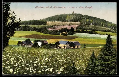 AK Schneeberg, Gesamtansicht mit Gleesberg und Köhlerturn
