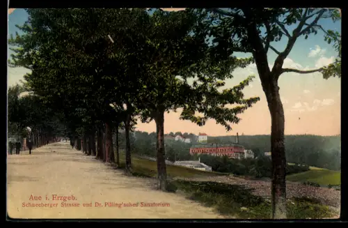 AK Aue, Schneeberger Strasse und Dr. Pilling`sches Senatorium