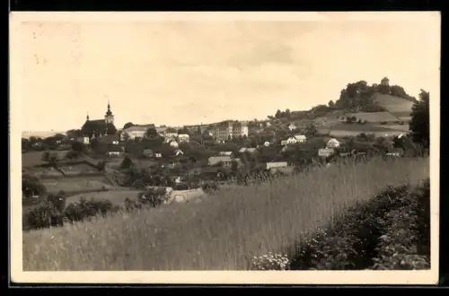 AK Pecka, Celkový pohled