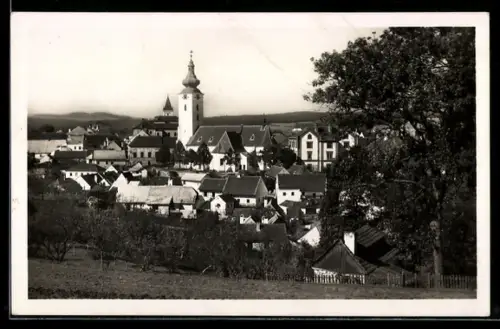 AK Netolice, Panorama