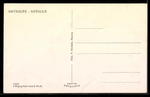 AK Netolice, Panorama