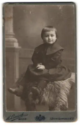 Fotografie M. Larisch, Wien, Untere Augartenstrasse 9, Kind auf einem Pelz sitzend