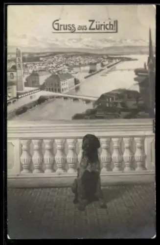 AK Zürich, Panorama mit Limmat, Seeufer und Stadtsilhouette