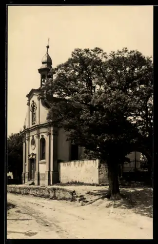 AK Ochsenfurt a. M., Kirche von der Strasse gesehen, Mäuerchen, Baum