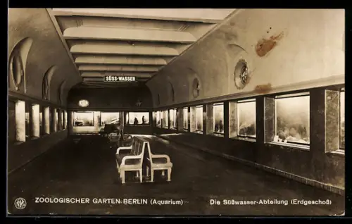 AK Berlin, Zoologischer Garten, Aquarium, Süsswasser-Abteilung