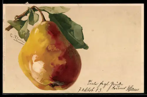 Künstler-AK Catharina Klein: Birne am Zweig