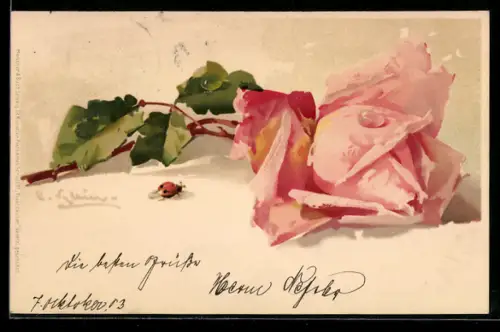 Künstler-AK Catharina Klein: Blühende Rose mit Marienkäfer