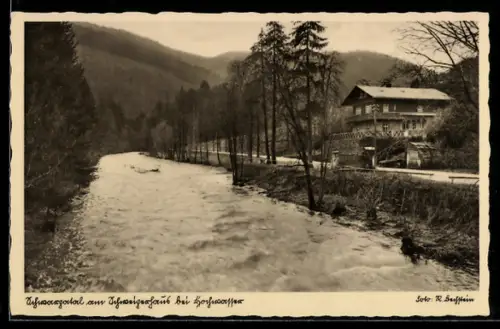 AK Schwarzatal, Am Schweizerhaus bei Hochwasser, Flusspartie mit Strasse u. Gebäude
