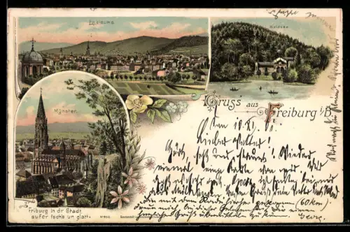 Lithographie Freiburg i. B., Münster, Stadtansicht, Waldsee