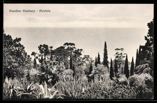 AK Mortola, Vista del Giardino Hanbury verso il mare