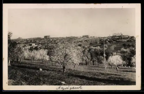 AK Agrigento, Panorama della Valle dei Templi con i mandorli in fiore