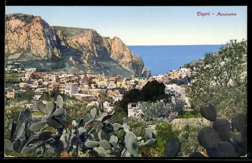 AK Capri, Panorama con vista sul mare e vegetazione mediterranea