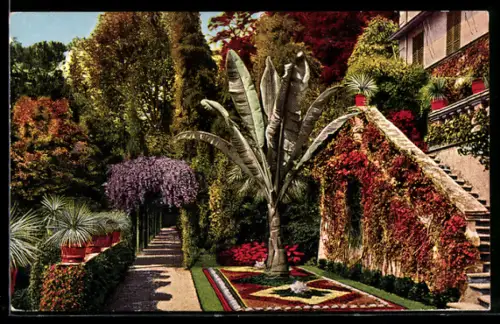 AK Cadenabbia /Lago di Como, Giardino della Villa Carlotta