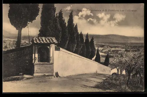 AK Assisi, Strada che conduce a S. Damiano con i cipressi