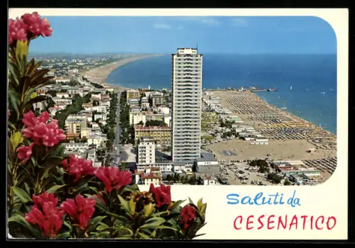 AK Cesenatico, Veduta aerea con fiori in primo piano