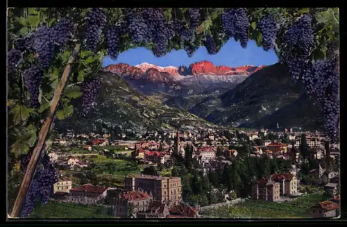 AK Bolzano-Gries, Panorama con vigneti e montagne sullo sfondo