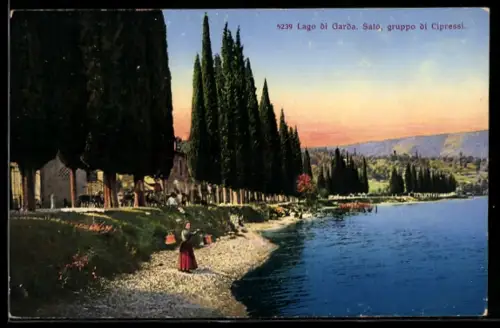 AK Salò /Lago di Garda, Gruppo di cipressi lungo la riva del lago