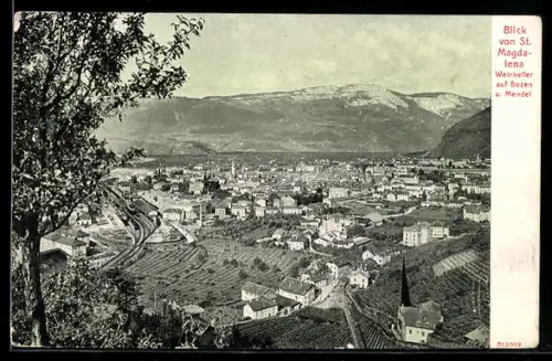 AK Bozen, Blick von St. Magdalena Weinkeller auf Bozen
