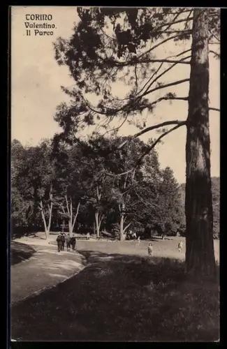 AK Torino, Valentino, Il Parco
