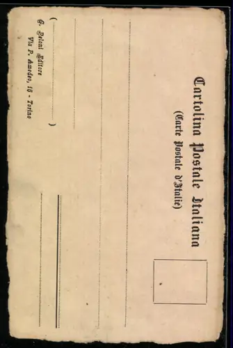 AK Torino, Piazza Castello, Nevata