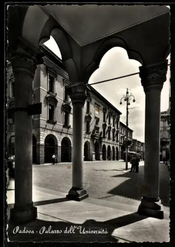 AK Padova, Palazzo dell`Università