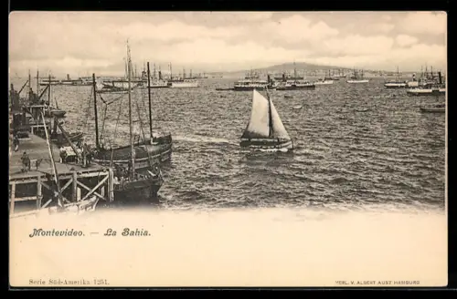 AK Montevideo, La Bahia