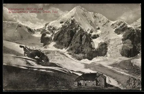 AK Ortler /Tirol, Schaubachhütte mit Königsspitze
