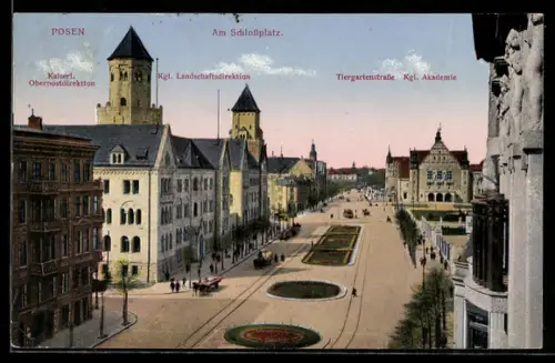 AK Posen / Poznan, Schlossplatz, Tiergartenstrasse, Kgl. Akademie