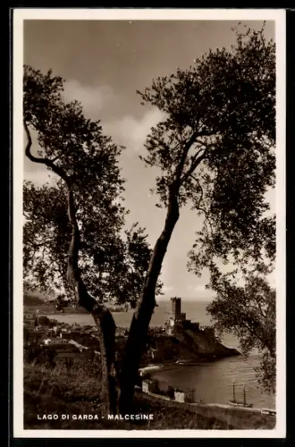 AK Malcesine, Veduta generale