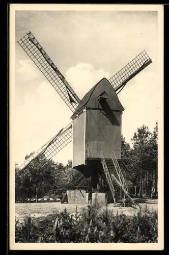 AK Kasterlee, Oude Standaardmolen