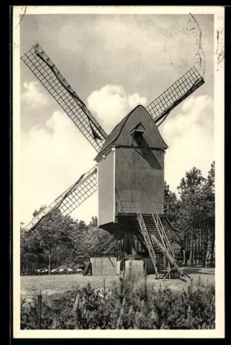 AK Kasterlee, Oude Standaardmolen