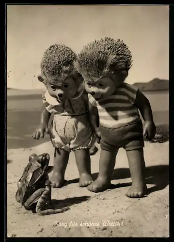 AK Igel Mecki's Kinder treffen auf einen Frosch