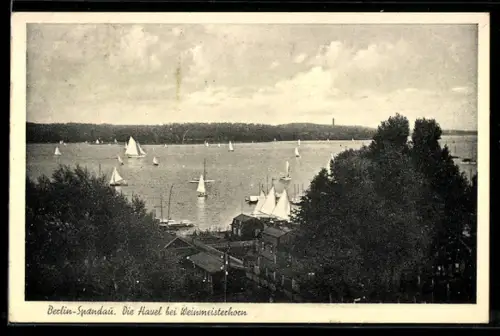 AK Berlin-Spandau, Die Havel bei Kleinemisterhorn, Segelboote