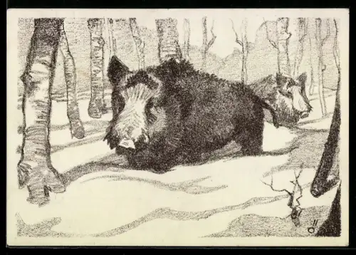 AK Zwei Wildschweine im Schnee, Einladung zur Treibjagd 1951
