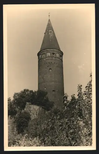 Fotografie unbekannter Fotograf, Ansicht Zörbig, Mittelalterlicher Turm des Schlosses in idyllischer Landschaft