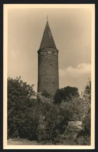 Fotografie unbekannter Fotograf, Ansicht Zörbig, Schlossturm in grüner Umgebung