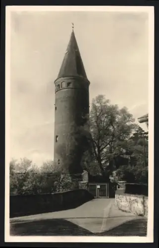 Fotografie unbekannter Fotograf, Ansicht Zörbig, Schlossturm mit spitzem Dach im Grünen 1959