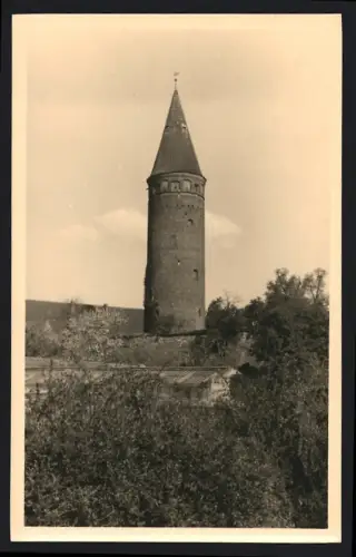 Fotografie unbekannter Fotograf, Ansicht Zörbig, Blick zum Schlossturm im Grünen 1959