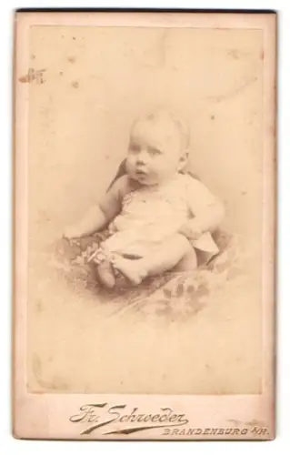 Fotografie Fr. Schroeder, Brandenburg a. H., Ritterstr. 18, Porträt eines Kleinkindes