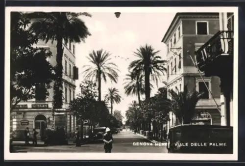 AK Nervi, Viale delle Palme