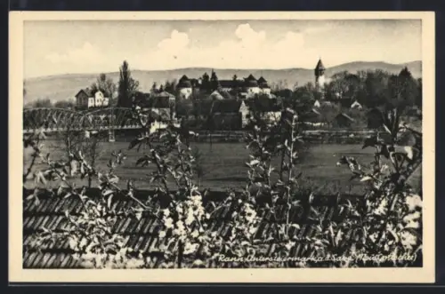 AK Rann-Untersteiermark, Ortsansicht mit Brücke und Kirche