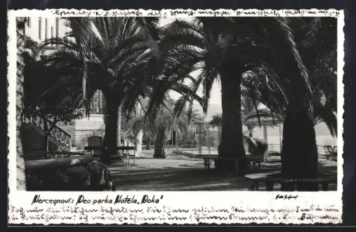 AK Herceg Novi, Deo parka Hotela Boka