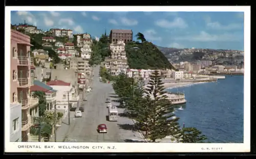 AK Wellington City, Oriental Bay