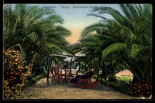 AK Gagry, Allée de Palmes