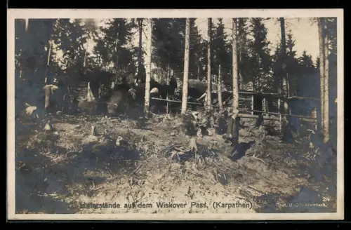 AK Wiskover Pass /Karpathen, Unterstände auf dem Pass